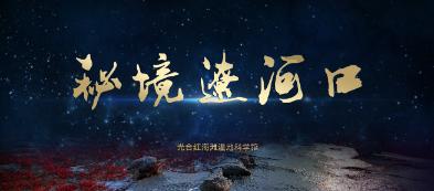阴暗森林
